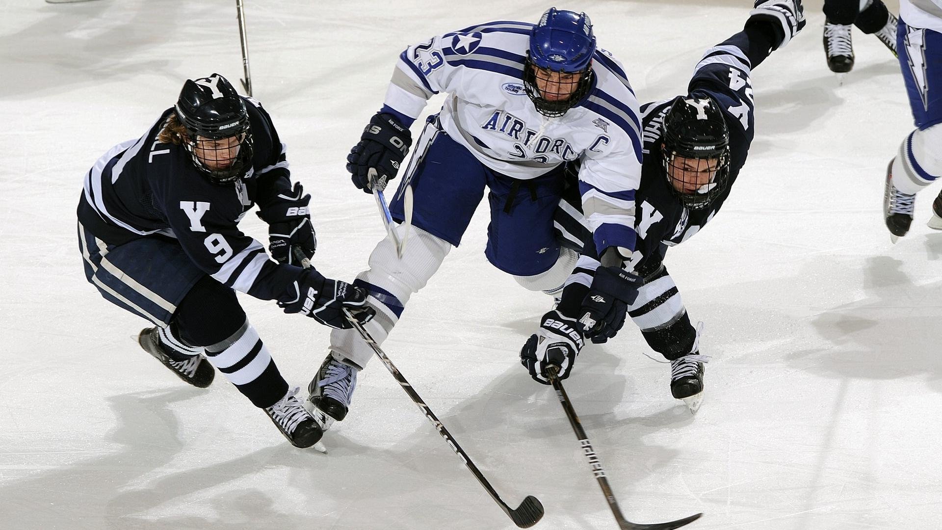球迷对赛事关注度提升，热情高涨，球迷对球队和运动的重要性是什么