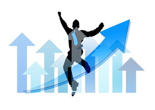 中国九游体育-中国篮球职业俱乐部财务风险管理实践，篮球俱乐部经营与管理